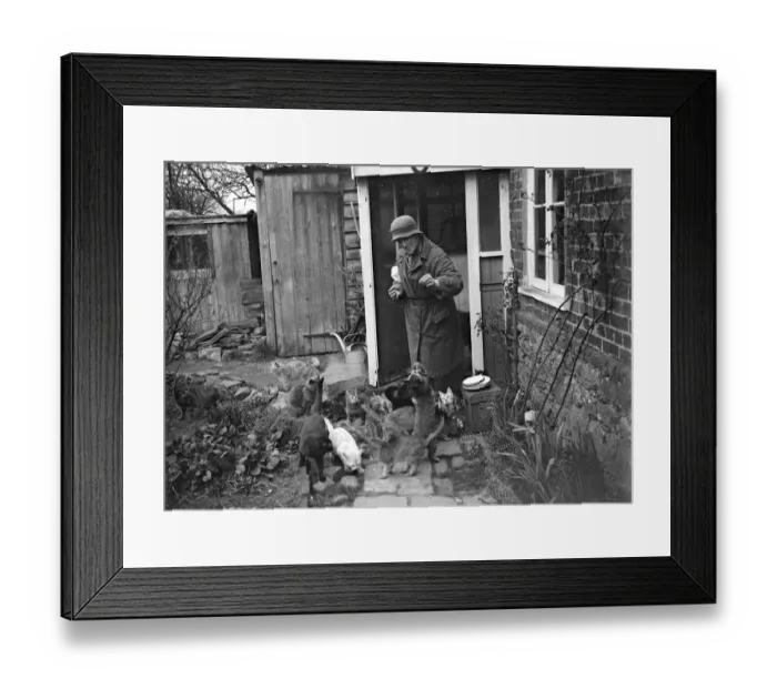 Framed Print : Miss Nancy Rutherford outside the house feeding her 15+ cats. 1934 Framed Print : Miss Nancy Rutherford outside the house feeding her 15+ cats. 1934