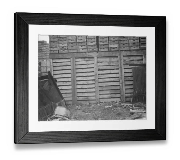 Framed Print : Collins brothers building company. Their rebuilding scheme of the local bottle factory Framed Print : Collins brothers building company. Their rebuilding scheme of the local bottle factory