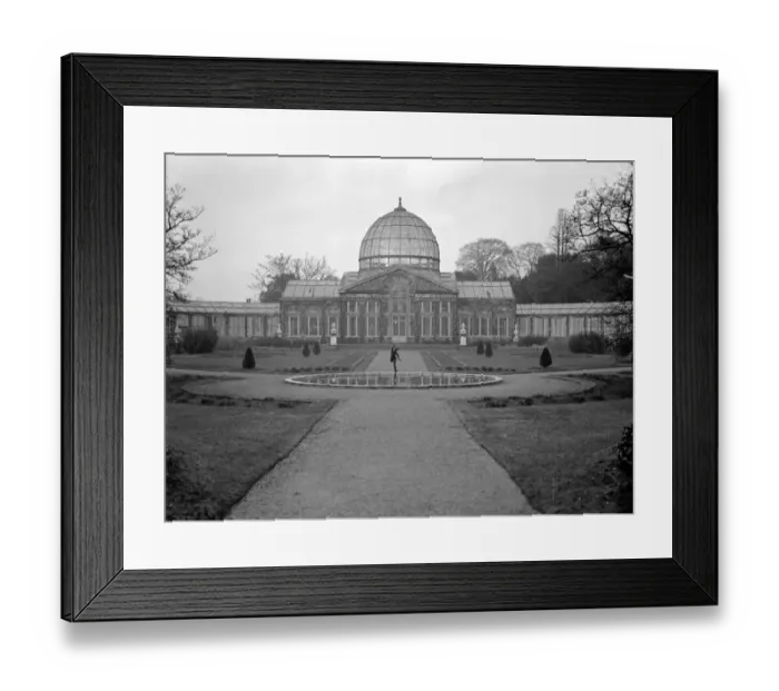 Framed Print : Syon Park, Brentford, seat of the Duke of Northumberland. The Great Conservatory Framed Print : Syon Park, Brentford, seat of the Duke of Northumberland. The Great Conservatory