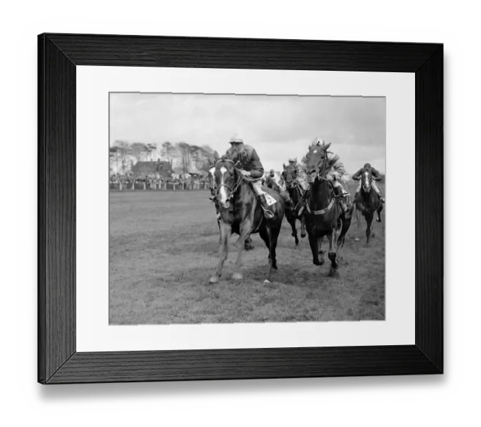 Framed Print : Epsom Spring Meeting. Light Sussex ( left ) and Play On Fighting it out Framed Print : Epsom Spring Meeting. Light Sussex ( left ) and Play On Fighting it out