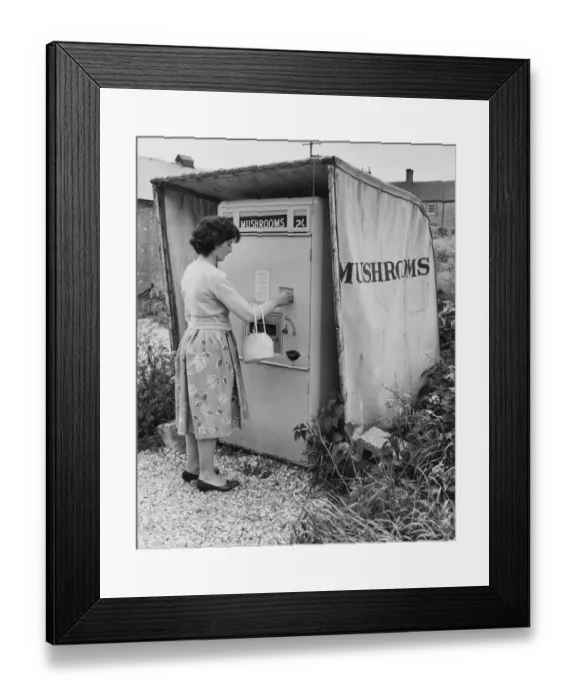 Framed Print : This egg machine sells mushrooms. At 2 shillings a half pound sell like hot cakes Framed Print : This egg machine sells mushrooms. At 2 shillings a half pound sell like hot cakes