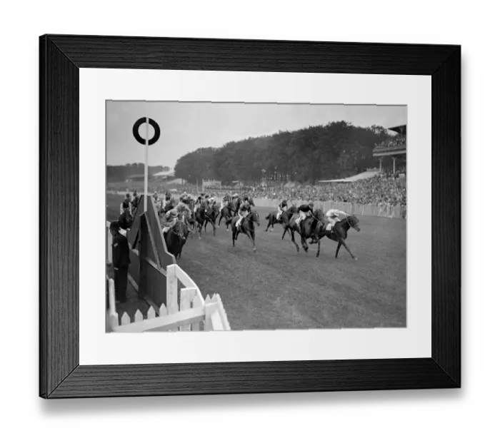 Framed Print : The Goodwood Races General view of racing at Goodwood, Sussex, England Framed Print : The Goodwood Races General view of racing at Goodwood, Sussex, England