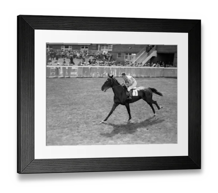 Framed Print : Goodwood Sussex England St Quintus 1938 A TopFoto
