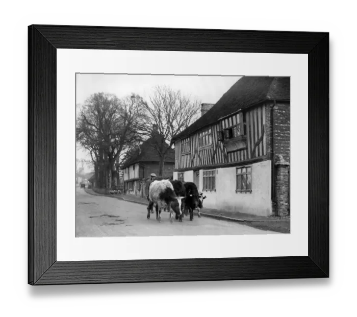 Framed Print : The old world village of Pevensey in Sussex. and its historic houses. There is a