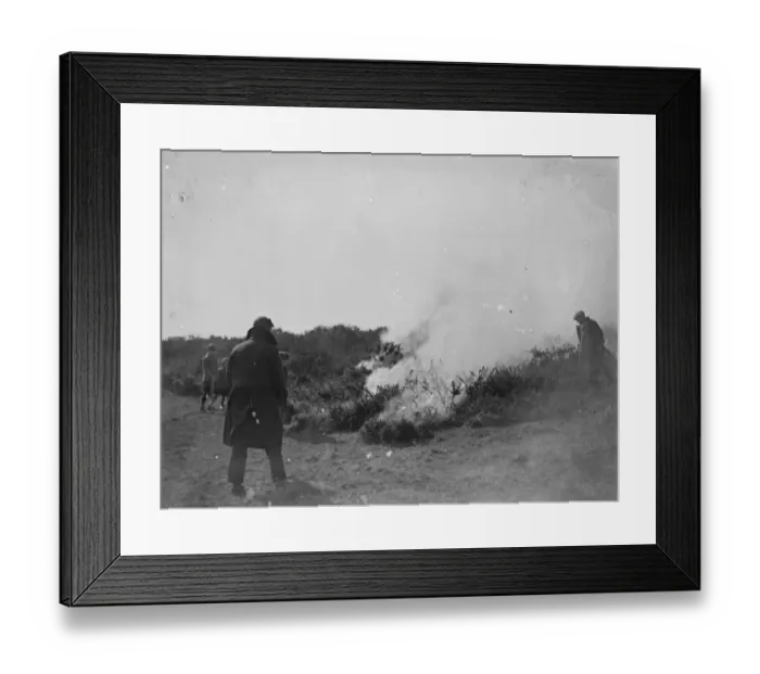 Framed Print : Great common fire near Eastbourne. A great common fire laid waste acres of heath Framed Print : Great common fire near Eastbourne. A great common fire laid waste acres of heath