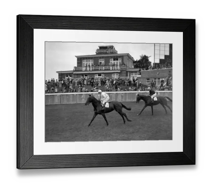 Framed Print : Seventh Wonder ( No 3 ) and Prato ( No 6 ) at Goodwood Racecourse, Sussex