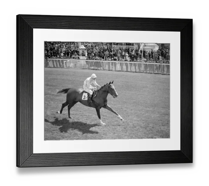 Framed Print : Goodwood Sussex England Titan 1938 A TopFoto Framed Print : Goodwood Sussex England Titan 1938 A TopFoto