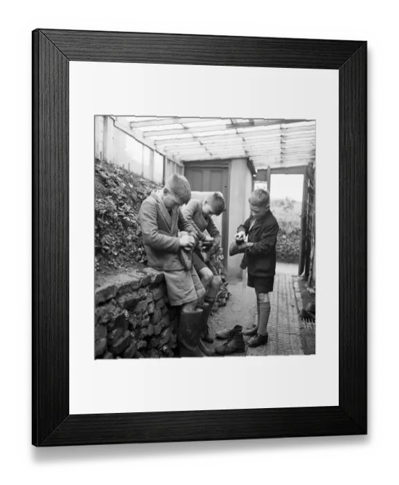 Framed Print : Cockney children from the Sydenham Road area of Croydon grow into farmers after evacuation Framed Print : Cockney children from the Sydenham Road area of Croydon grow into farmers after evacuation