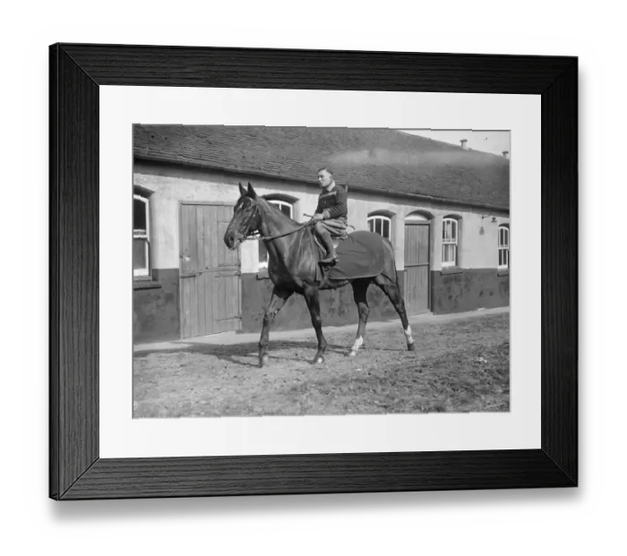 Framed Print : French Hope for Grand National in training at Lewes. The French hope for Framed Print : French Hope for Grand National in training at Lewes. The French hope for