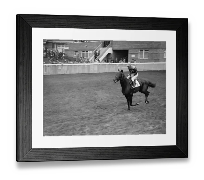Framed Print : Renardo at Goodwood Racecourse. 1937
