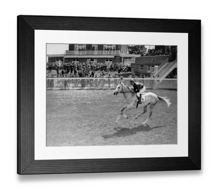 Framed Print : Goodwood Sussex England Hurry De Savoie 1938 A TopFoto Framed Print : Goodwood Sussex England Hurry De Savoie 1938 A TopFoto