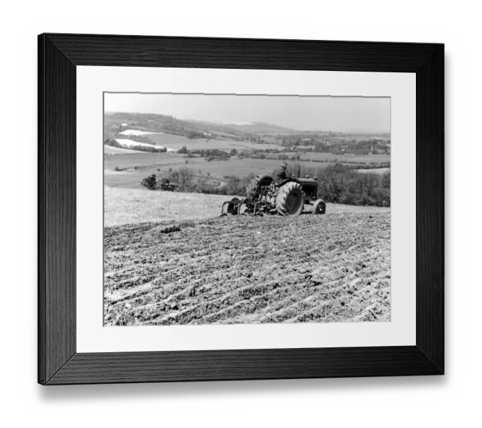 Framed Print : Plough up a rather dry one year ley on top of the Sussex Downs - near Amberley - on Lee Framed Print : Plough up a rather dry one year ley on top of the Sussex Downs - near Amberley - on Lee