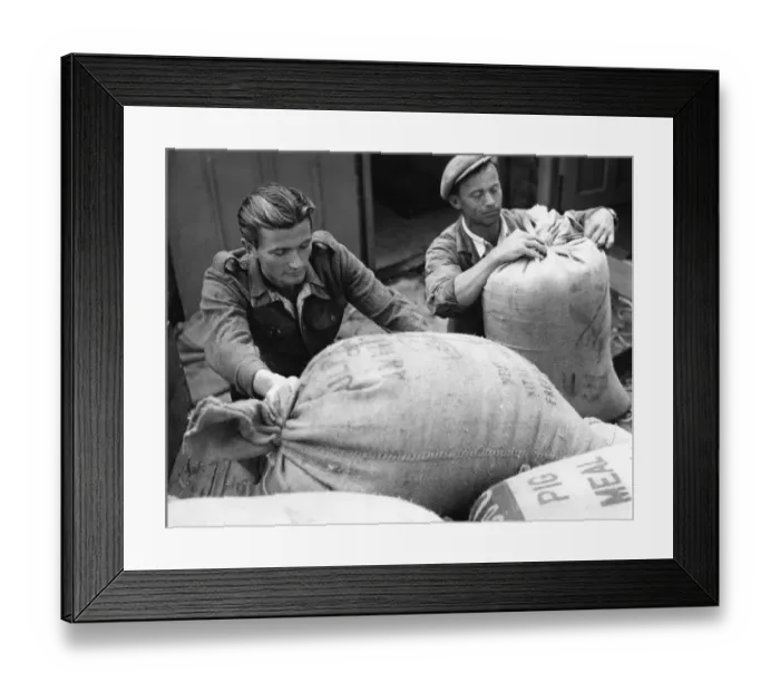 Framed Print : Bryckden Place Farm, Waldron Sussex, is a perfectly run farm with the most modern dairy a T Framed Print : Bryckden Place Farm, Waldron Sussex, is a perfectly run farm with the most modern dairy a T