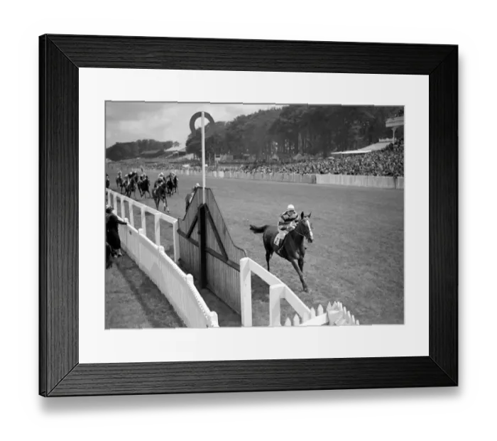Framed Print : Goodwood Sussex England Bombay Duck winning the Craven Stakes Framed Print : Goodwood Sussex England Bombay Duck winning the Craven Stakes