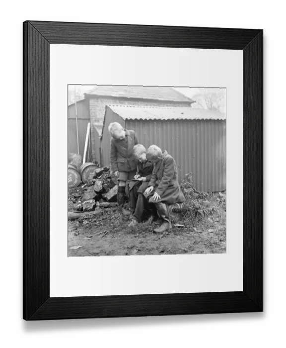 Framed Print : Cockney children from the Sydenham Road area of Croydon grow into farmers after evacuation