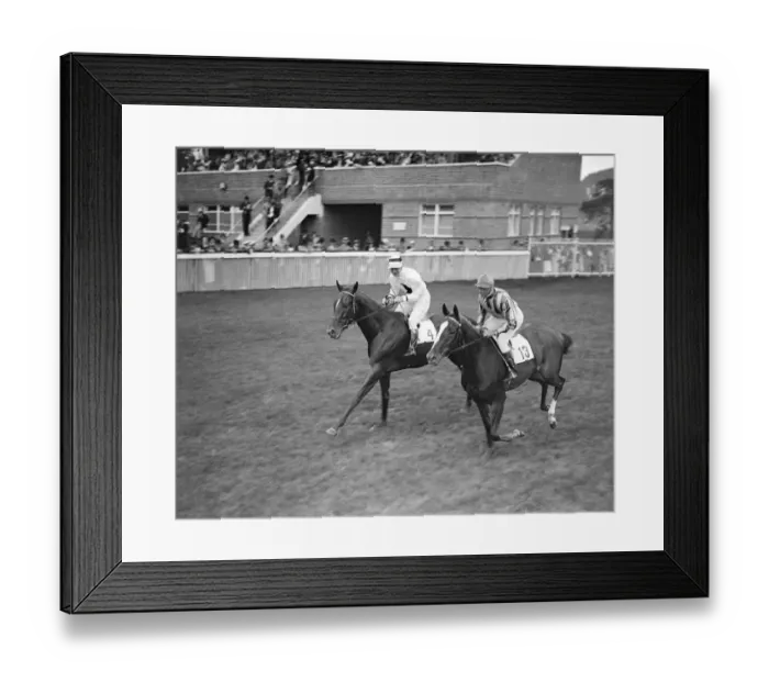 Framed Print : Chatsworth ( No. 4 ) and Aoudala ( No. 13 ) at Goodwood Racecourse, Sussex Framed Print : Chatsworth ( No. 4 ) and Aoudala ( No. 13 ) at Goodwood Racecourse, Sussex