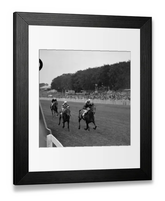 Framed Print : Tahir winning the Ham Produce Stakes from Halcyon Gift ( left ) Framed Print : Tahir winning the Ham Produce Stakes from Halcyon Gift ( left )