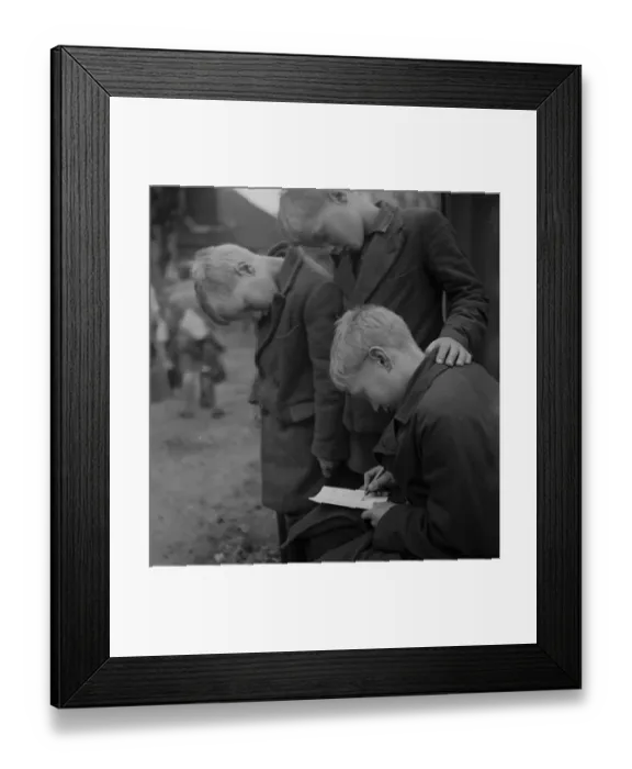 Framed Print : Cockney children from the Sydenham Road area of Croydon grow into farmers after evacuation