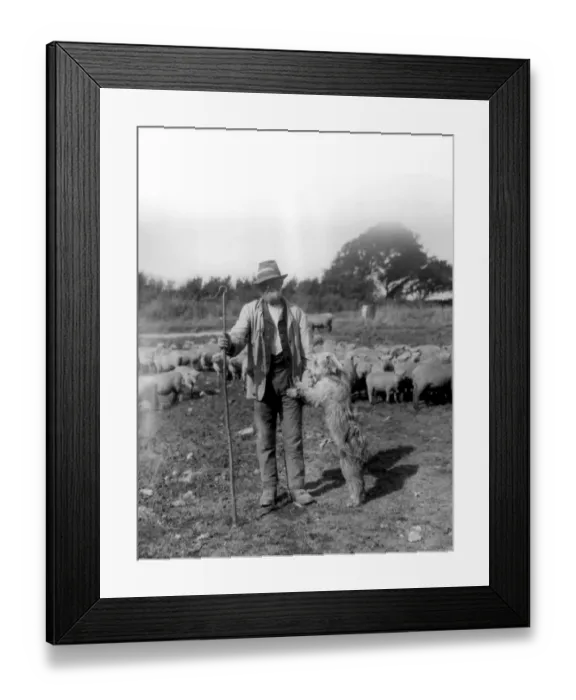 Framed Print : A shepherd with an old english sheep dog Framed Print : A shepherd with an old english sheep dog