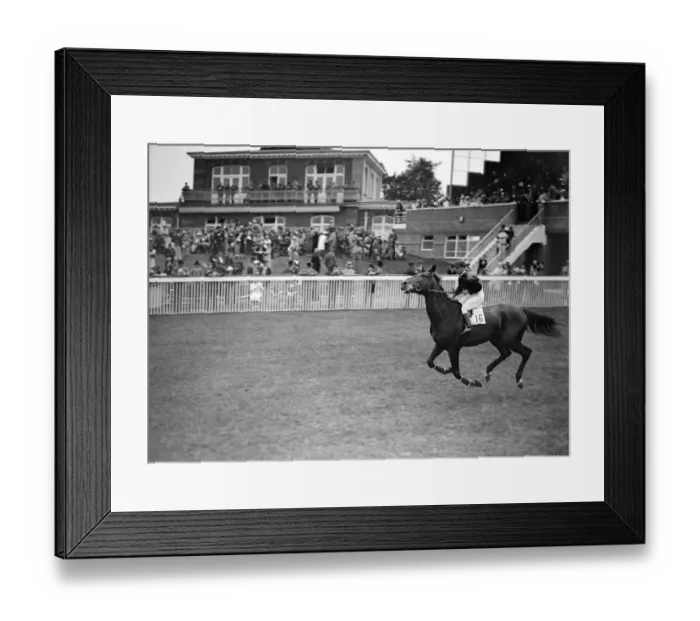 Framed Print : Rodomont at Goodwood Racecourse, Sussex, England 1937 Framed Print : Rodomont at Goodwood Racecourse, Sussex, England 1937