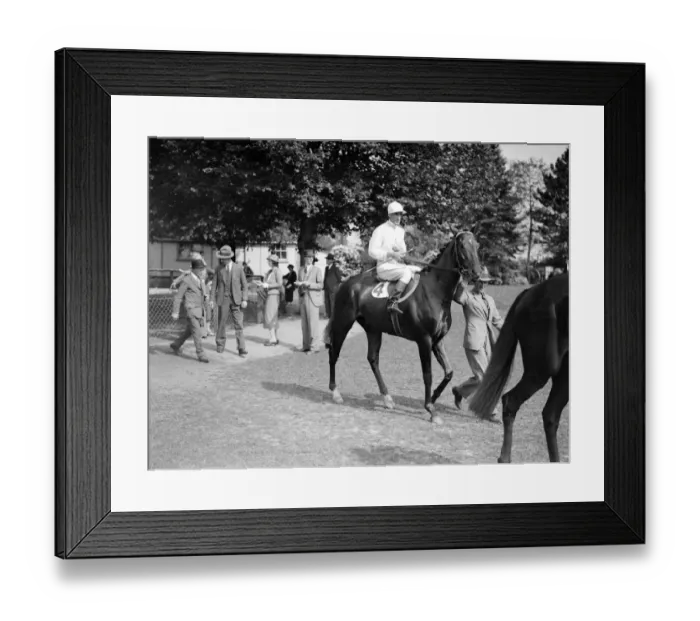 Framed Print : Gatwick races, west Sussex, England Zelmos, ridden by W Sibbritt, canters Framed Print : Gatwick races, west Sussex, England Zelmos, ridden by W Sibbritt, canters