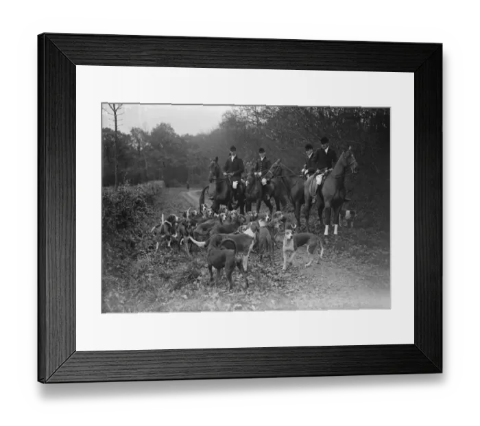 Framed Print : First of a pack of Sussex staghounds, famous actor as master. Mr Tom Walls Framed Print : First of a pack of Sussex staghounds, famous actor as master. Mr Tom Walls