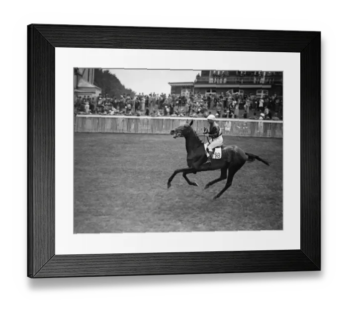 Framed Print : Fox Star at Goodwood Racecourse, Sussex, England. 1937 Framed Print : Fox Star at Goodwood Racecourse, Sussex, England. 1937