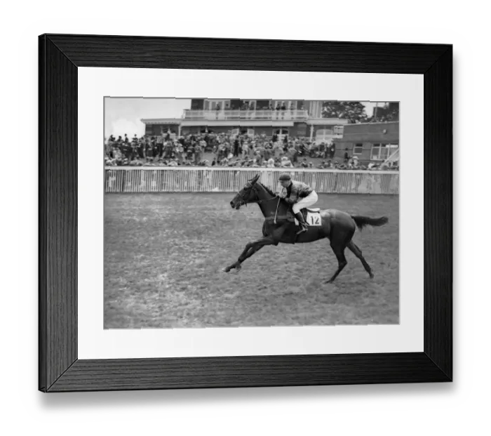 Framed Print : Goodwood Sussex England Bibi Sultan 1938 A TopFoto Framed Print : Goodwood Sussex England Bibi Sultan 1938 A TopFoto