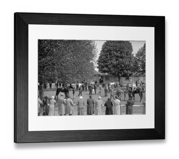 Framed Print : Gatwick Racecourse, Sussex, England. A pictursque scene in the paddock at Gatwick Framed Print : Gatwick Racecourse, Sussex, England. A pictursque scene in the paddock at Gatwick