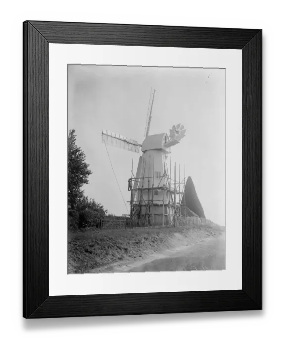 Framed Print : Well known landmark restored. The rebuilding of the smock windmill in the grounds Framed Print : Well known landmark restored. The rebuilding of the smock windmill in the grounds