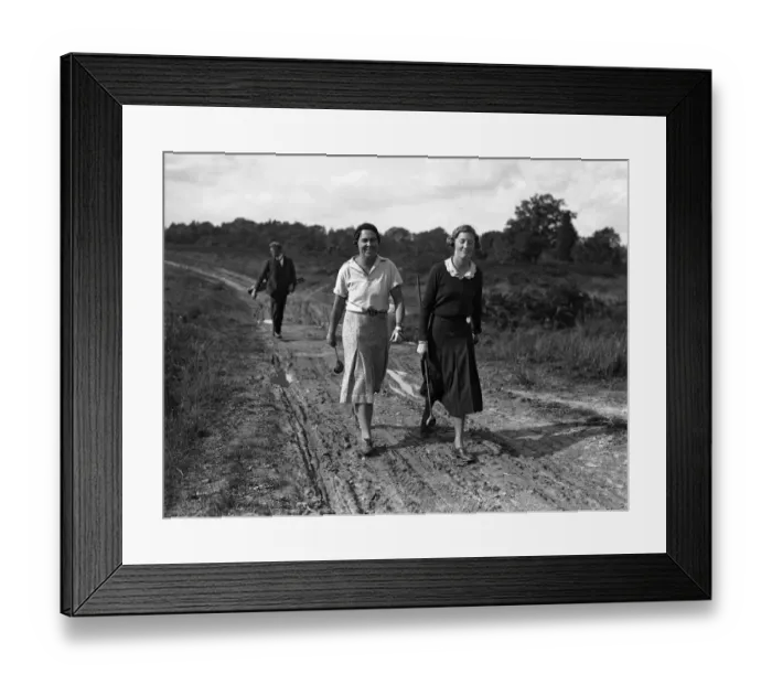 Framed Print : English Ladies Close Golf Championship at the Royal Ashdown Forest Golf Club, Sussex Framed Print : English Ladies Close Golf Championship at the Royal Ashdown Forest Golf Club, Sussex