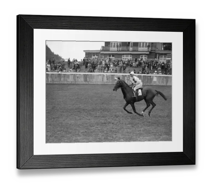 Framed Print : Giftlaw at Goodwood Racecouse. 1937 Framed Print : Giftlaw at Goodwood Racecouse. 1937