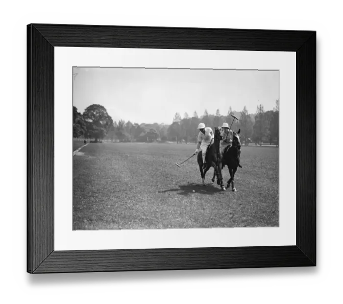 Framed Print : The Southdown Ladies Polo Club. In play on the Royal Artillery ground at Preston Park Framed Print : The Southdown Ladies Polo Club. In play on the Royal Artillery ground at Preston Park
