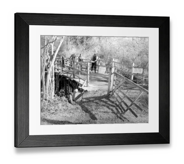 Framed Print : Poohs bridge has been repaired. The bridge is to be seen over a brook to the SW of Hartfield Framed Print : Poohs bridge has been repaired. The bridge is to be seen over a brook to the SW of Hartfield