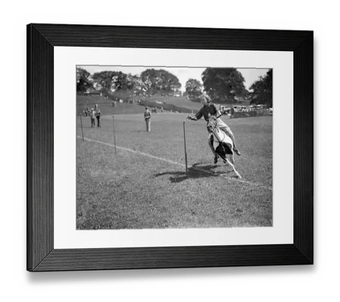 Framed Print : Haywards Heath Horticultural Societys Summer show, Victoria Park, Haywards Heath, Sussex Framed Print : Haywards Heath Horticultural Societys Summer show, Victoria Park, Haywards Heath, Sussex