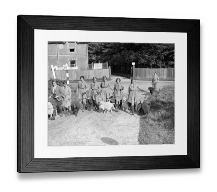 Framed Print : At Miss Lane?s Poodle Kennels, South Lodge, Buchan Hill, Crawley, Sussex Framed Print : At Miss Lane?s Poodle Kennels, South Lodge, Buchan Hill, Crawley, Sussex