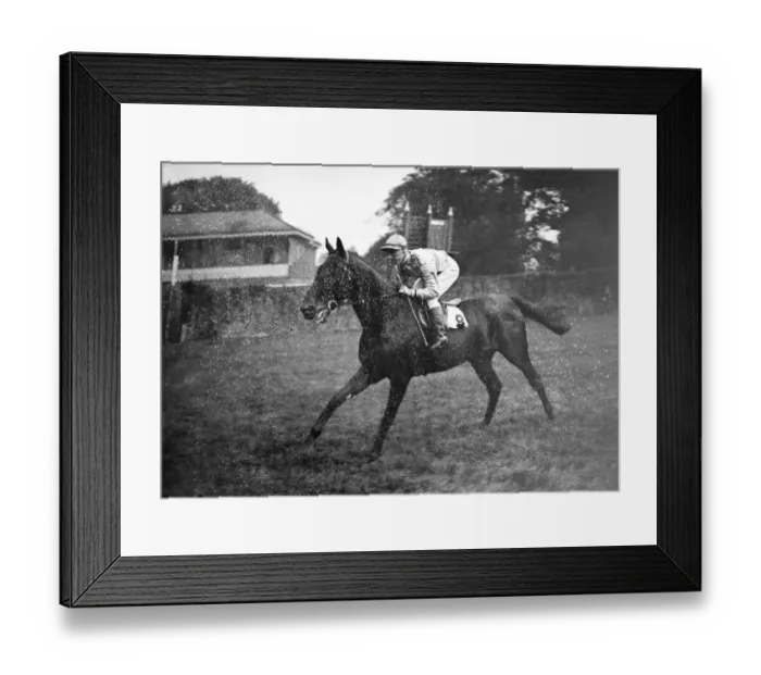 Framed Print : Gatwick Racecourse, Sussex, England. Mr E H Gregorys Sanity, ridden Framed Print : Gatwick Racecourse, Sussex, England. Mr E H Gregorys Sanity, ridden
