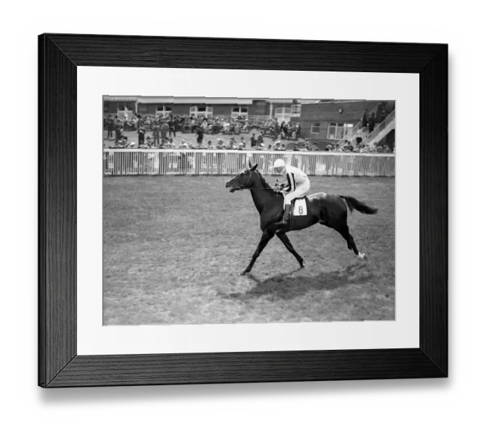 Framed Print : Goodwood Sussex England Valedictory 1938 A TopFoto Framed Print : Goodwood Sussex England Valedictory 1938 A TopFoto