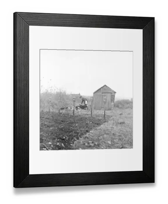 Framed Print : Cockney children from the Sydenham Road area of Croydon grow into farmers after evacuation