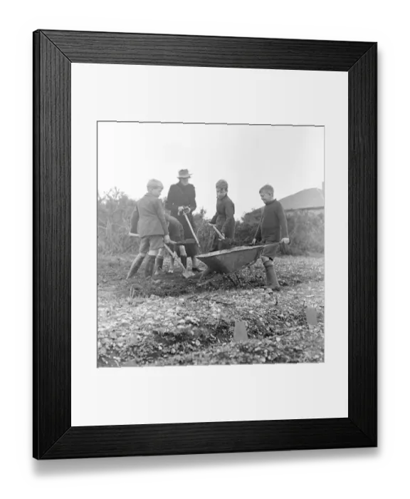 Framed Print : Cockney children from the Sydenham Road area of Croydon grow into farmers after evacuation