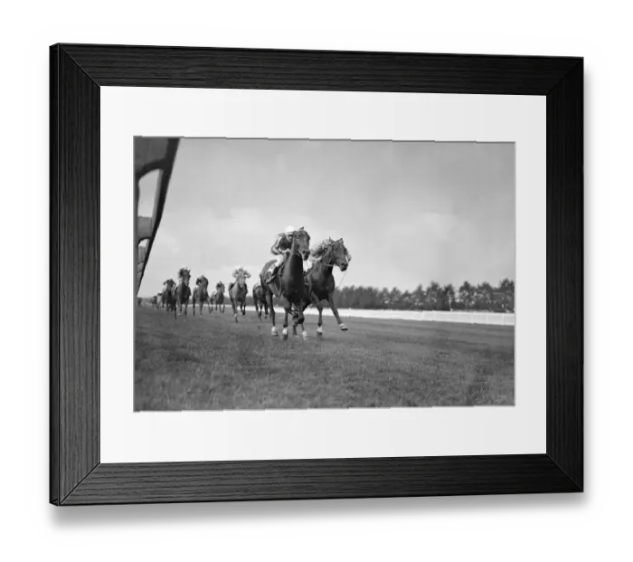 Framed Print : Gatwick Racecourse, Sussex, England. The finish of The Autumn Handicap Framed Print : Gatwick Racecourse, Sussex, England. The finish of The Autumn Handicap