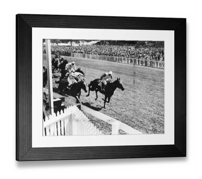 Framed Print : Big race of the day, the Stewards Cup, for the first day of the meeting at Goodwood Framed Print : Big race of the day, the Stewards Cup, for the first day of the meeting at Goodwood