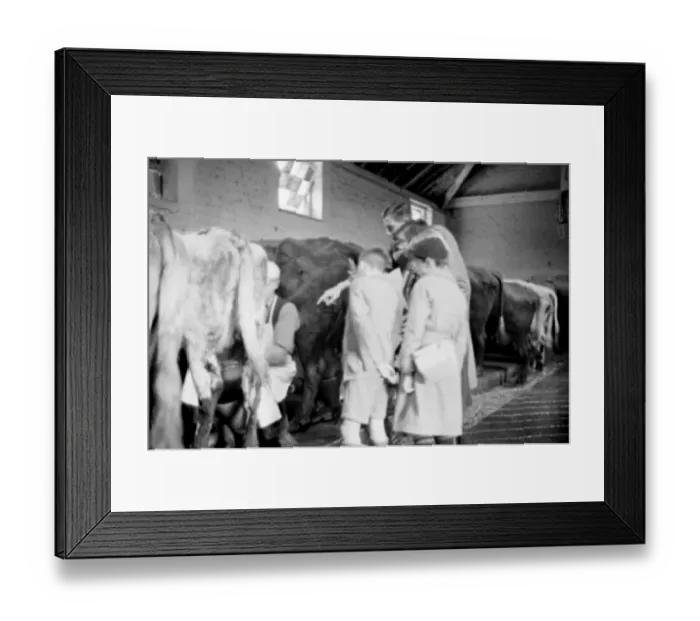 Framed Print : Cockney children from the Sydenham Road area of Croydon grow into farmers after evacuation Framed Print : Cockney children from the Sydenham Road area of Croydon grow into farmers after evacuation