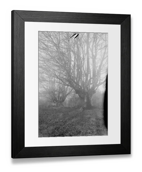 Framed Print : Balcombe Forest Framed Print : Balcombe Forest