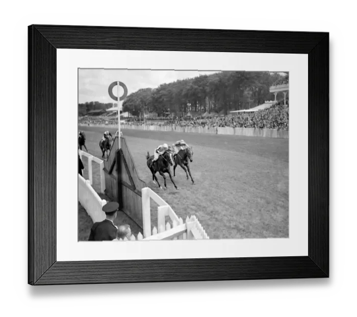 Framed Print : Goodwood Sussex England Valedictory ( left ) winning by a neck in Gordon Stakes Framed Print : Goodwood Sussex England Valedictory ( left ) winning by a neck in Gordon Stakes