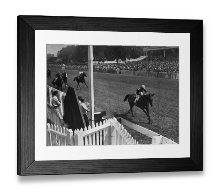 Framed Print : The 100 to 8 outsider Sidebotham proved the best stayer at Goodwood this afternoon