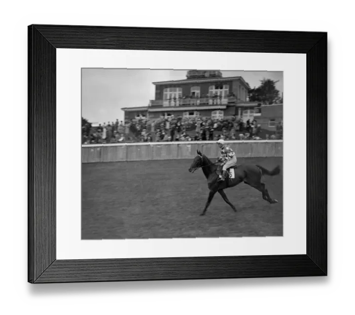 Framed Print : Halycon Gift at Goodwood Racecourse. 1937 Framed Print : Halycon Gift at Goodwood Racecourse. 1937