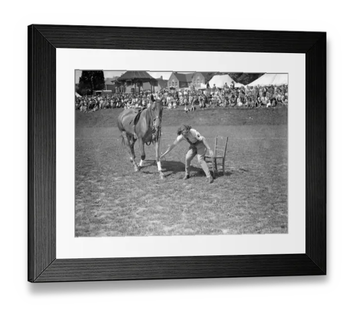 Framed Print : Haywards Heath Horticultural Societys Summer show, Victoria Park, Haywards Heath, Sussex Framed Print : Haywards Heath Horticultural Societys Summer show, Victoria Park, Haywards Heath, Sussex