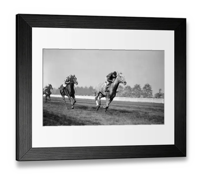 Framed Print : Gatwick racecourse, Sussex, England. Sir Woodman Burbidges race horse, Look Framed Print : Gatwick racecourse, Sussex, England. Sir Woodman Burbidges race horse, Look