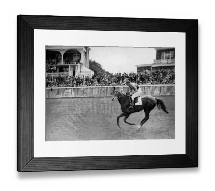 Framed Print : Goodwood Sussex England Panorama 1938 A TopFoto Framed Print : Goodwood Sussex England Panorama 1938 A TopFoto